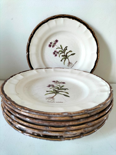 Assiettes botaniques vintage - assiettes,